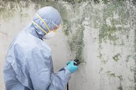 Mold Remediation for Rental Properties in Greenville, IN